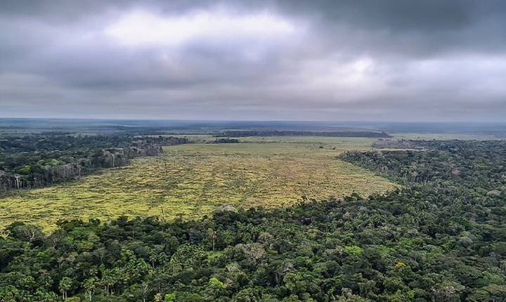 STF suspende todos os processos do país sobre Moratória da Soja 