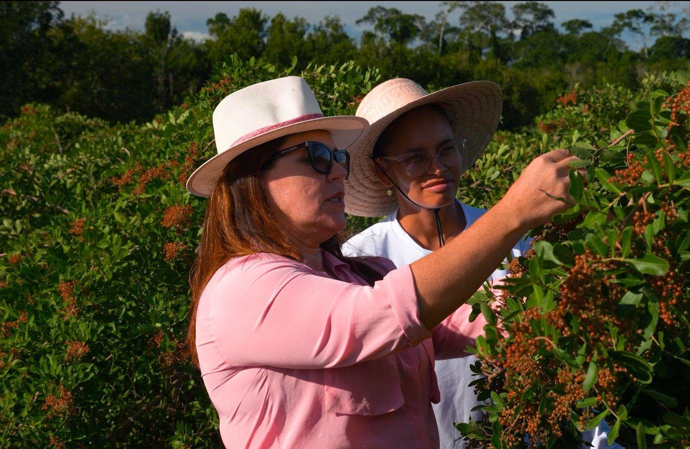 Depois dos cosméticos com pimenta-rosa, produtora rural revela que vai lançar produto inédito no Brasil em breve